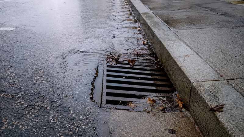 Imbornal en un día de lluvia con hojas acumuladas en la entrada